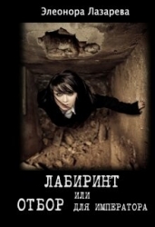 Лабиринт или отбор для Императора (СИ)
