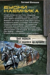 Будни наемника (СИ)