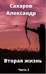 Вторая жизнь - книга вторая (СИ)