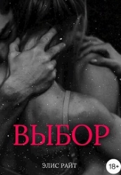 Выбор (СИ)