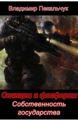 Собственность государства (СИ)