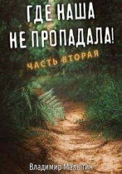 Где наша не пропадала 2 (СИ)