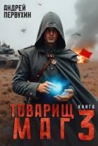 Товарищ маг. Книга 3 (СИ)