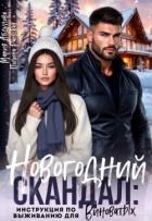 Новогодний скандал: инструкция по выживанию для виноватых (СИ)