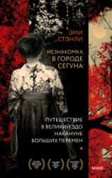Незнакомка в городе сегуна. Путешествие в великий Эдо накануне больших перемен