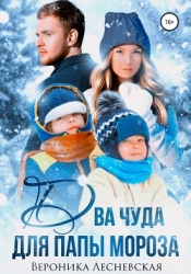 Два чуда для Папы Мороза (СИ)