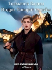 Индро. Поворот судьбы (СИ)