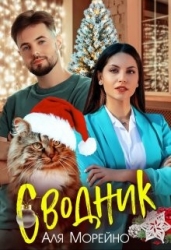 Сводник (СИ)